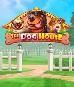 From Pragmatic Play comes The Dog House, bringing you a fun-filled journey into the world of playful pups. Engage in features including free spins, designed for providing exciting wins. Ideal for those who enjoy a cheerful setting alongside lucrative rewards.