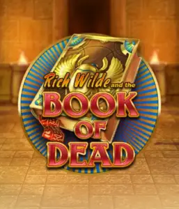 Dive into the thrilling world of Book of Dead Slot by Play'n GO, presenting vivid graphics of Rich Wilde’s adventurous journey through ancient Egyptian tombs and artifacts. Discover lost riches with exciting mechanics like free spins, expanding symbols, and a gamble option. Ideal for adventure enthusiasts with a desire for unearthing secrets.